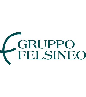 Logo Gruppo Felsineo
